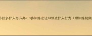 拉布拉多扑人怎么办3步训练法让TA停止扑人行为附训练视频
