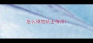 怎么样的哈士奇帅
