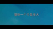 猫咪一个月是多大