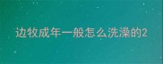 边牧成年一般怎么洗澡的