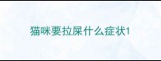 猫咪要拉屎什么症状