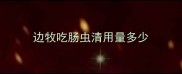 边牧吃肠虫清用量多少