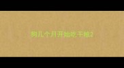 狗几个月开始吃干粮