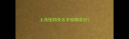 上海宠物美容学校哪家好
