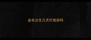 金毛出生几天打疫苗吗