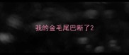 我的金毛尾巴断了