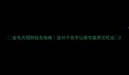 金毛犬招财起名指南这30个名字让家宅富贵又旺运