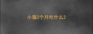 小猫2个月吃什么