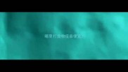 哪里打宠物疫苗便宜