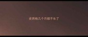 史宾格几个月都不长了