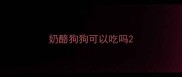 奶酪狗狗可以吃吗