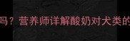 狗狗长期喝酸奶安全吗营养师详解酸奶对犬类的利弊与科学喂养指南