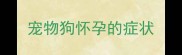 宠物狗怀孕的症状
