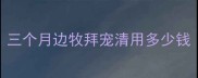 三个月边牧拜宠清用多少钱