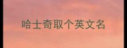 哈士奇取个英文名