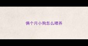 俩个月小狗怎么喂养