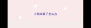 小狗来事了怎么办