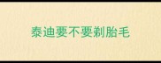 泰迪要不要剃胎毛