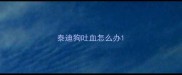 泰迪狗吐血怎么办