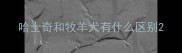 哈士奇和牧羊犬有什么区别