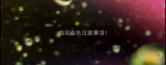 购买金毛注意事项