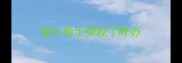 被小哈士奇咬了咋办