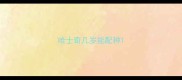 哈士奇几岁能配种
