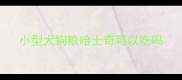 小型犬狗粮哈士奇可以吃吗