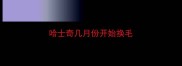 哈士奇几月份开始换毛