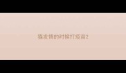 猫发情的时候打疫苗