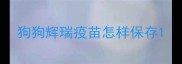 狗狗辉瑞疫苗怎样保存