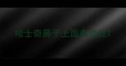 哈士奇鼻子上面有点红