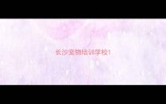 长沙宠物培训学校