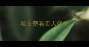 哈士奇看见人就扑