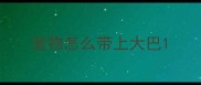 宠物怎么带上大巴