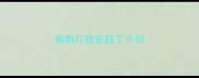 狗狗打疫苗鼓了个包
