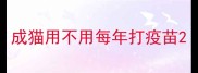 成猫用不用每年打疫苗