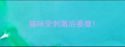 猫咪受刺激后萎靡