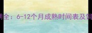 京巴犬成长周期全6-12个月成熟时间表及饲养关键期指南