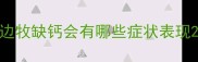 边牧缺钙会有哪些症状表现