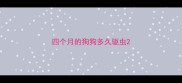四个月的狗狗多久驱虫