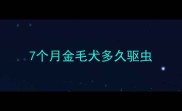 7个月金毛犬多久驱虫