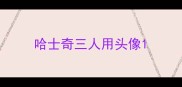 哈士奇三人用头像