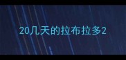 20几天的拉布拉多