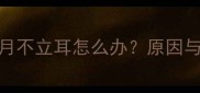 边境牧羊犬7个月不立耳怎么办原因与专业护理指南