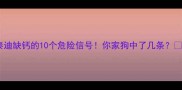 泰迪缺钙的10个危险信号你家狗中了几条