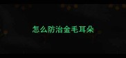 怎么防治金毛耳朵