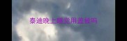 泰迪晚上睡觉用盖被吗