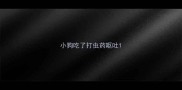 小狗吃了打虫药呕吐