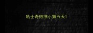 哈士奇得细小第五天